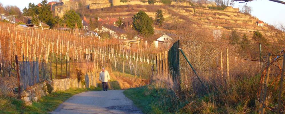 
            Фотография Асперга