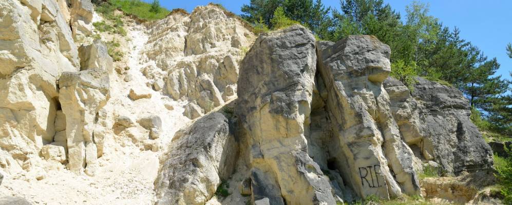 
            Фотография Ушковичей