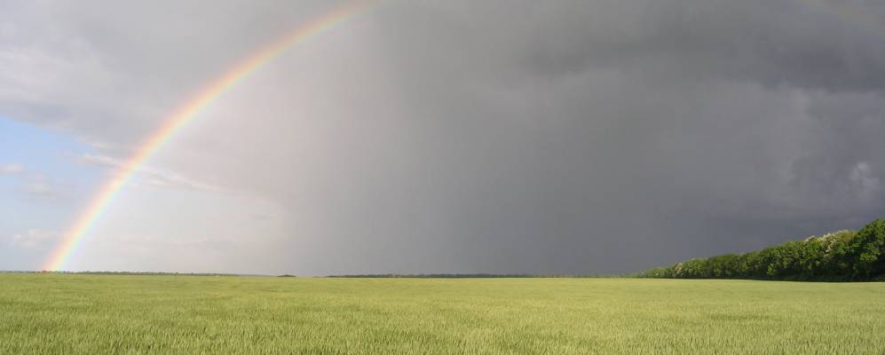 
            Фотография Светлого