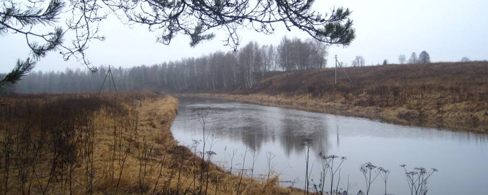 Фотография Никольского