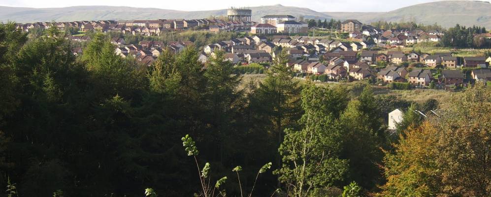 
            Фотография Камберналда