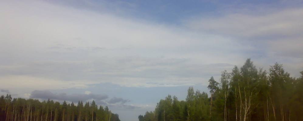 
            Фотография Межонки