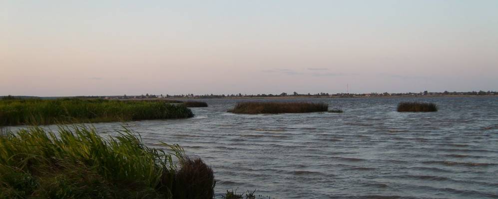 Фотография Ломовской