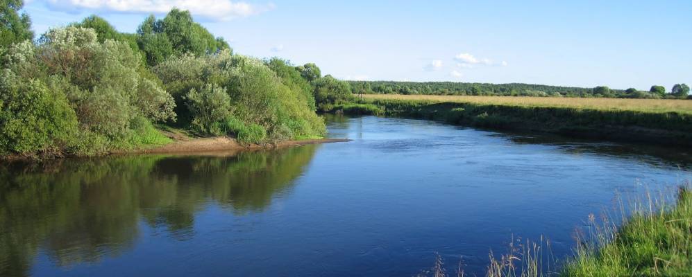 
            Фотография Вороново