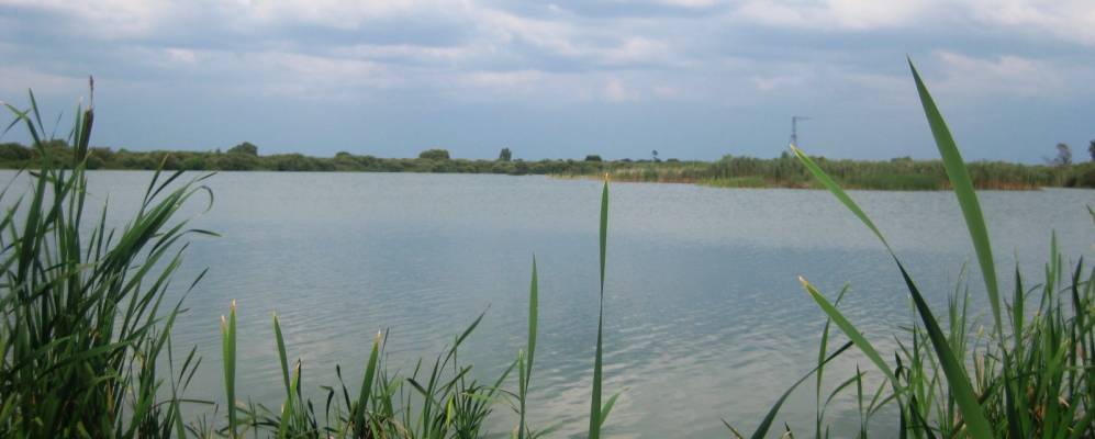 
            Фотография Шевченково