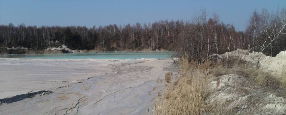 Фотография Зебрыдова