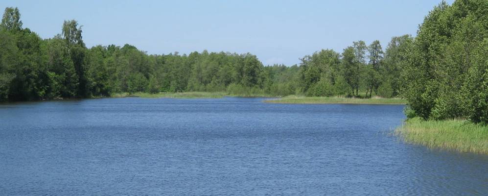 
            Фотография Желобихи