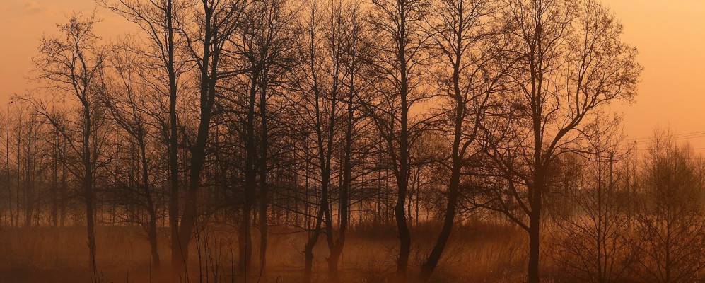 
            Фотография деревни Райки