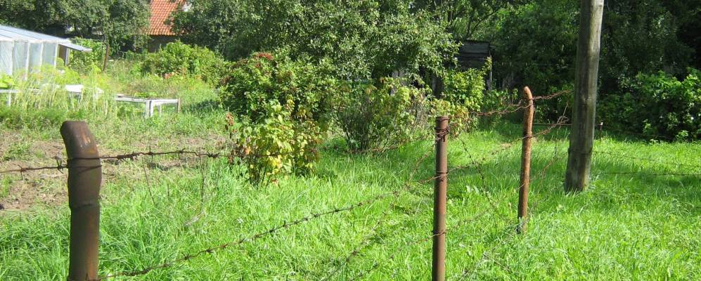 Фотография Майского