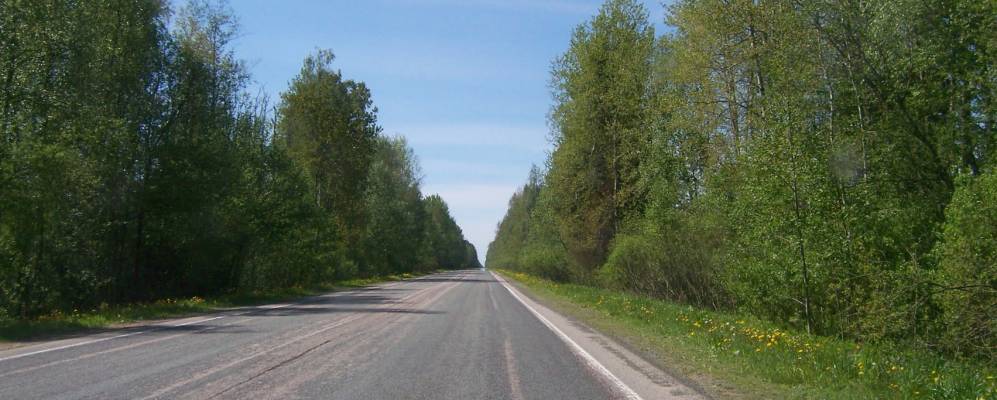 
            Фотография Черно