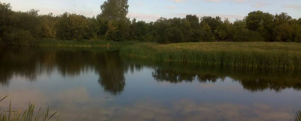 
            Фотография Силаева Клина