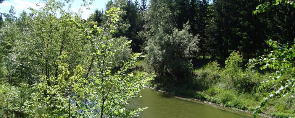 
            Фотография Подгородки