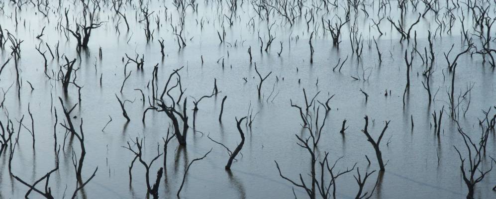 
            Фотография Матиса