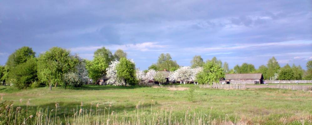 Фотография Велуты