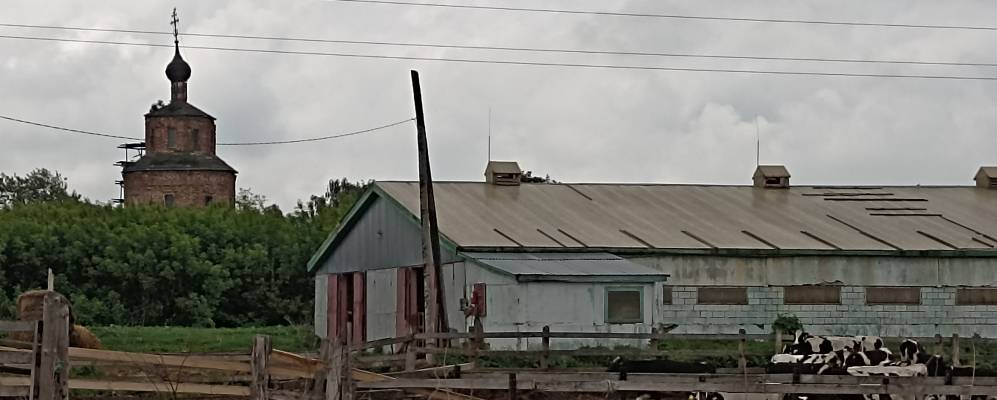 
            Фотография Семово