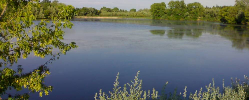 
            Фотография Кривачинцев