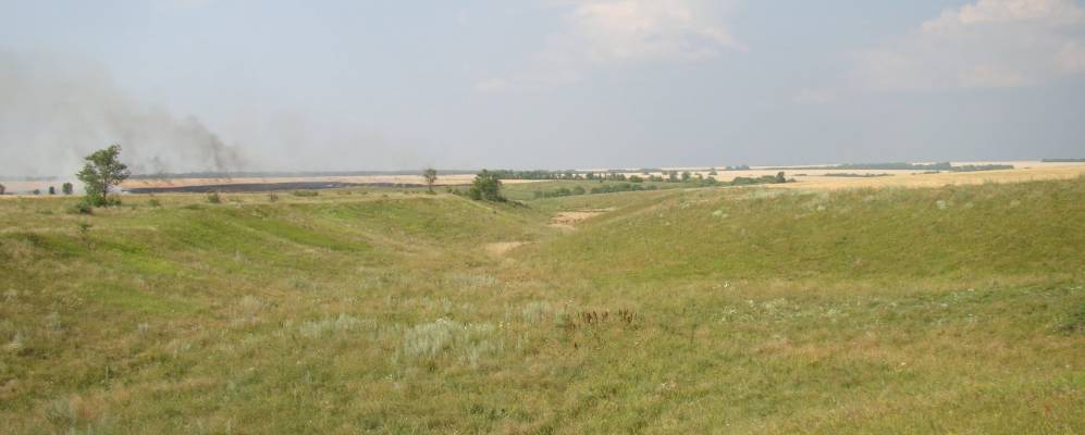 Фотография Ягодного