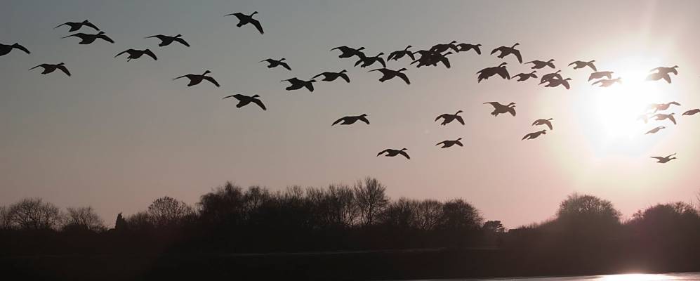 
            Фотография Пелсола