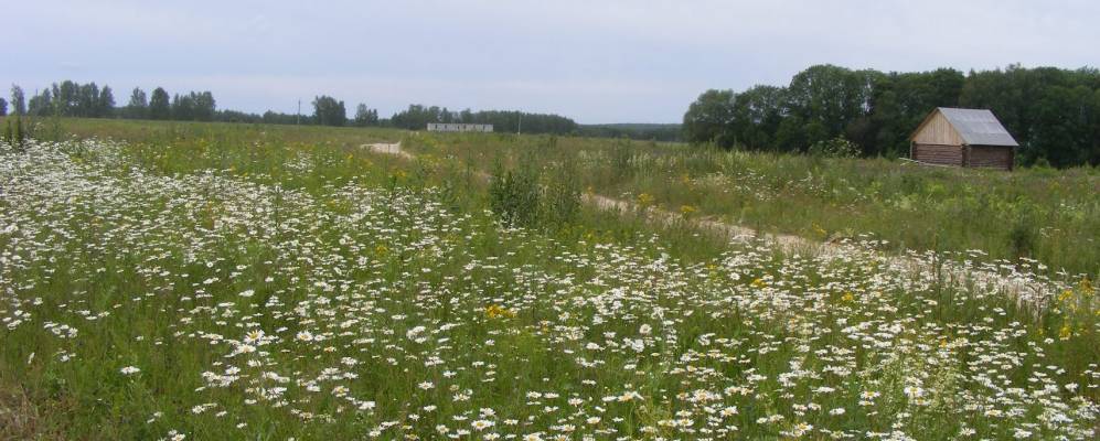 
            Фотография Натальинки