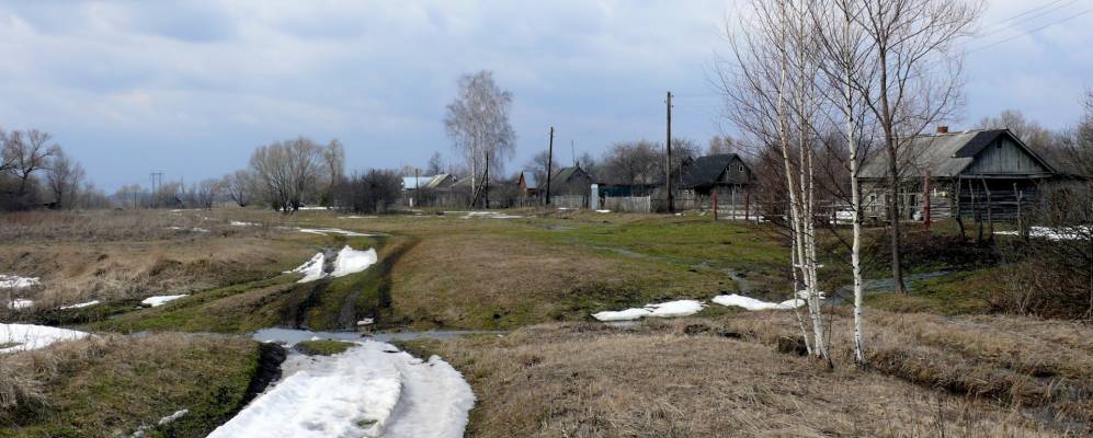 Фотография Софьино