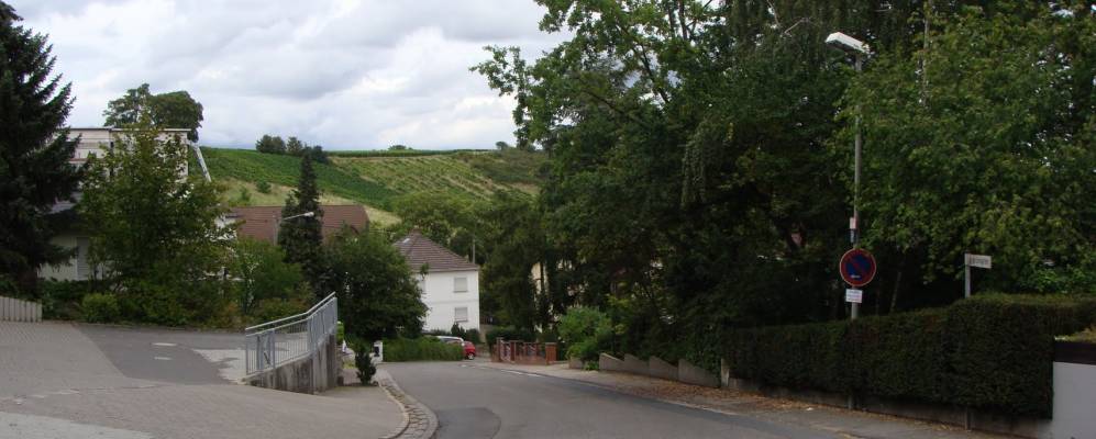 
            Фотография Гау-Бишофсхайма