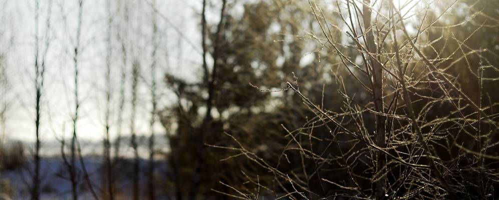 Фотография Ладыгины