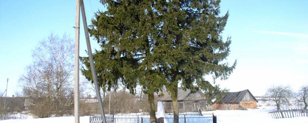 Фотография деревни Щеголицы