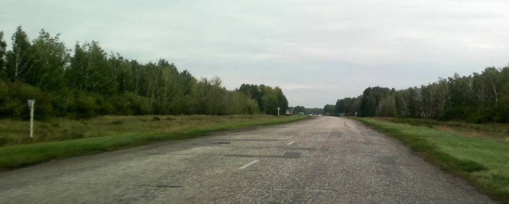 Фотография Хорошек