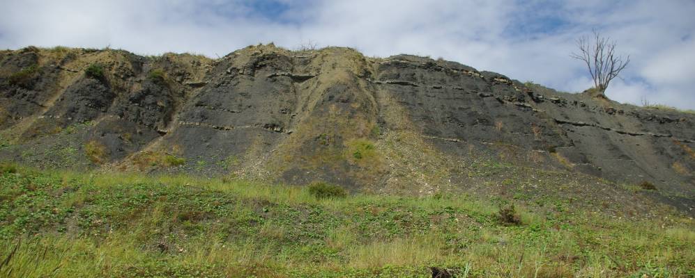 
            Фотография Лайм-Реджис
