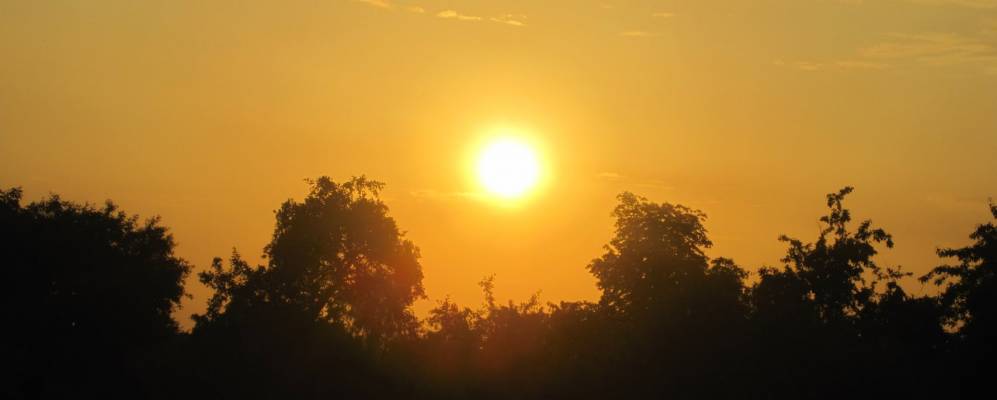 
            Фотография Ботанического