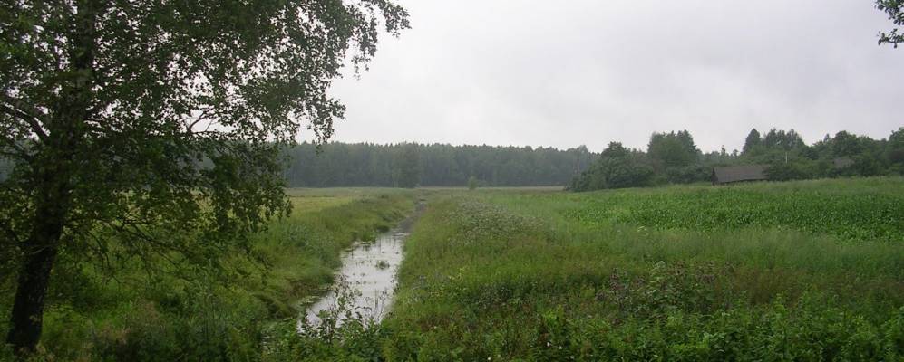 Фотография деревни Паледи