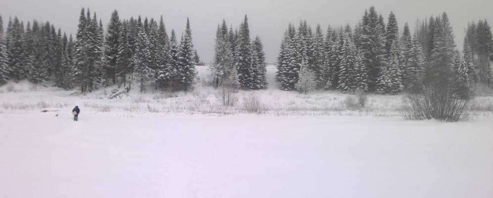 
            Фотография Пестерева