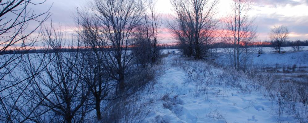 
            Фотография Солонцовского