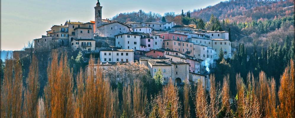 
            Фотография Пречи