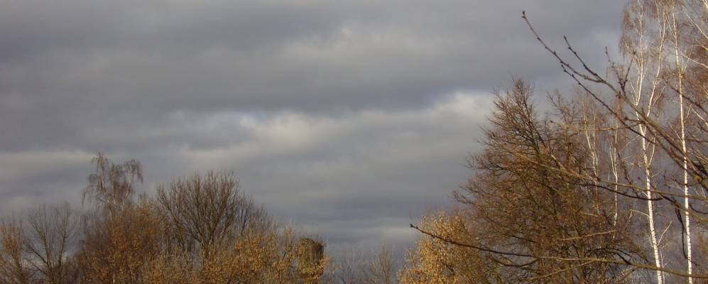 
            Фотография Клыпина