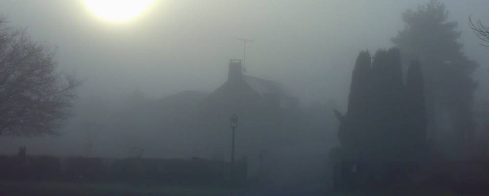 
            Фотография Лаласеля