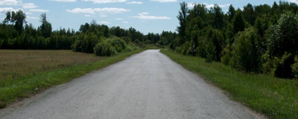 
            Фотография Луговой (Черной)
