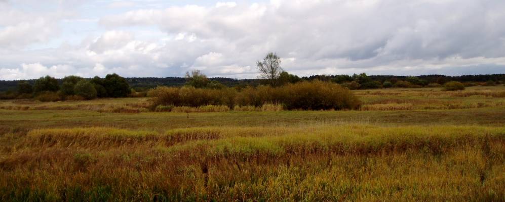 
            Фотография Никитовки