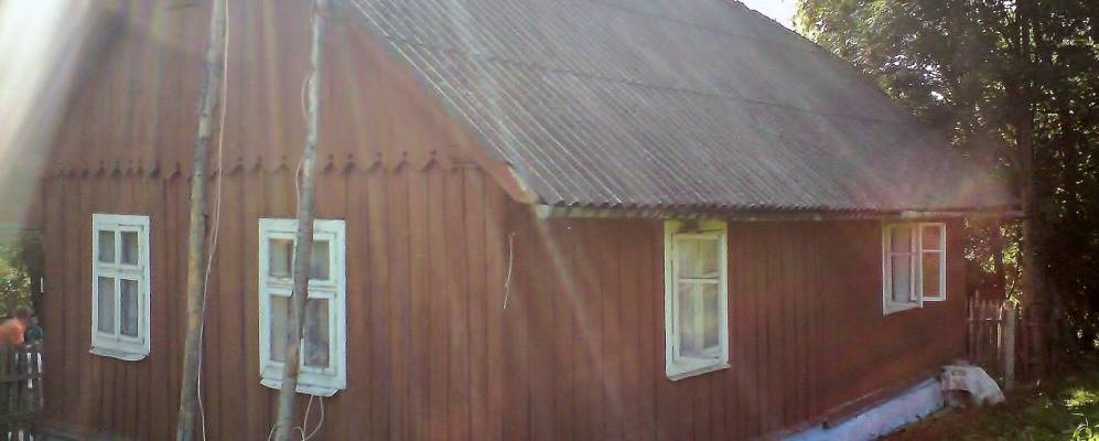 
            Фотография Максимовичи