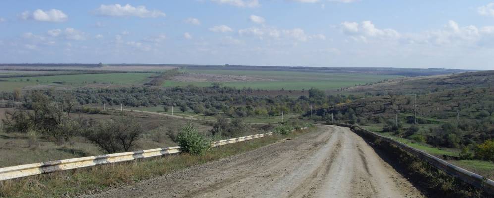 
            Фотография Гребеники