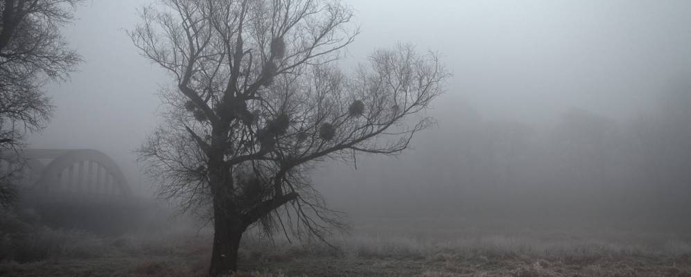 
            Фотография Псар