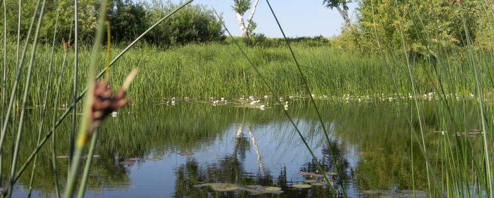 
            Фотография Гражданского