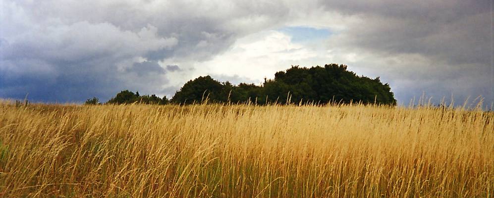 
            Фотография Бабицы-над-Свитавоу