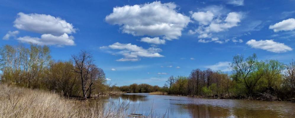 
            Фотография Центрального