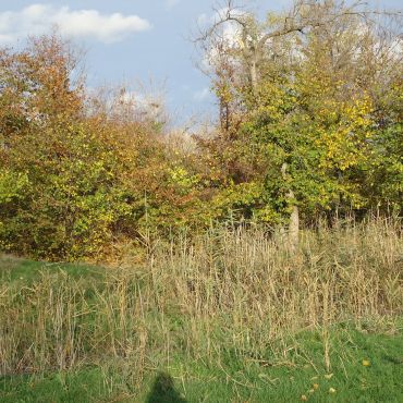 Восьмое Марта