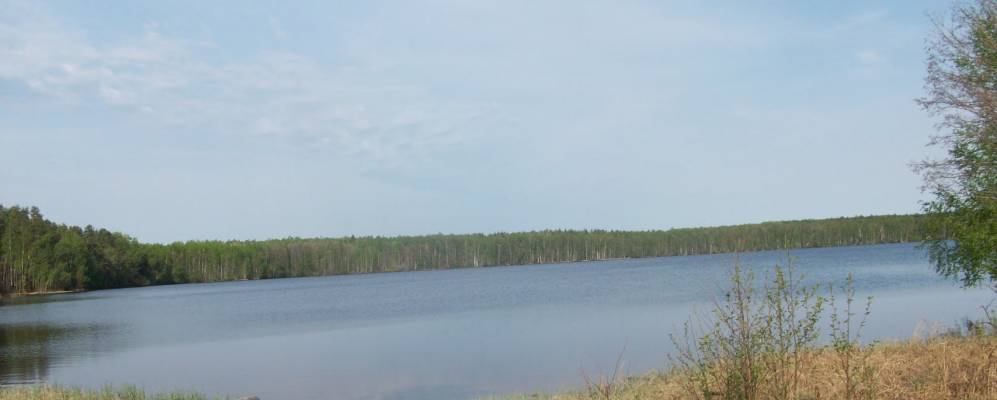 
            Фотография Шаров