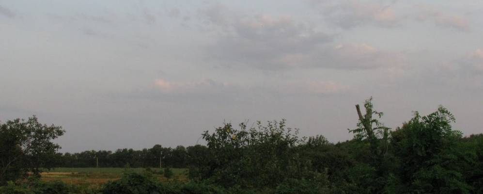 
            Фотография Куниновой