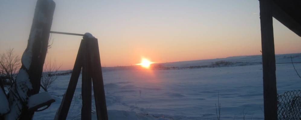 
            Фотография Жемчужного