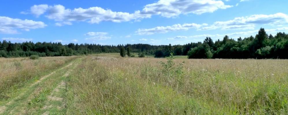 
            Фотография Черемной Горы