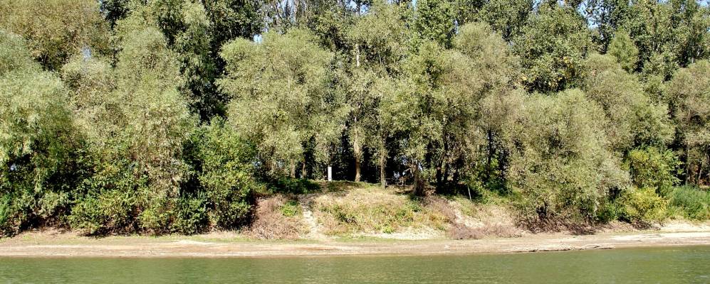 
            Фотография Галабора